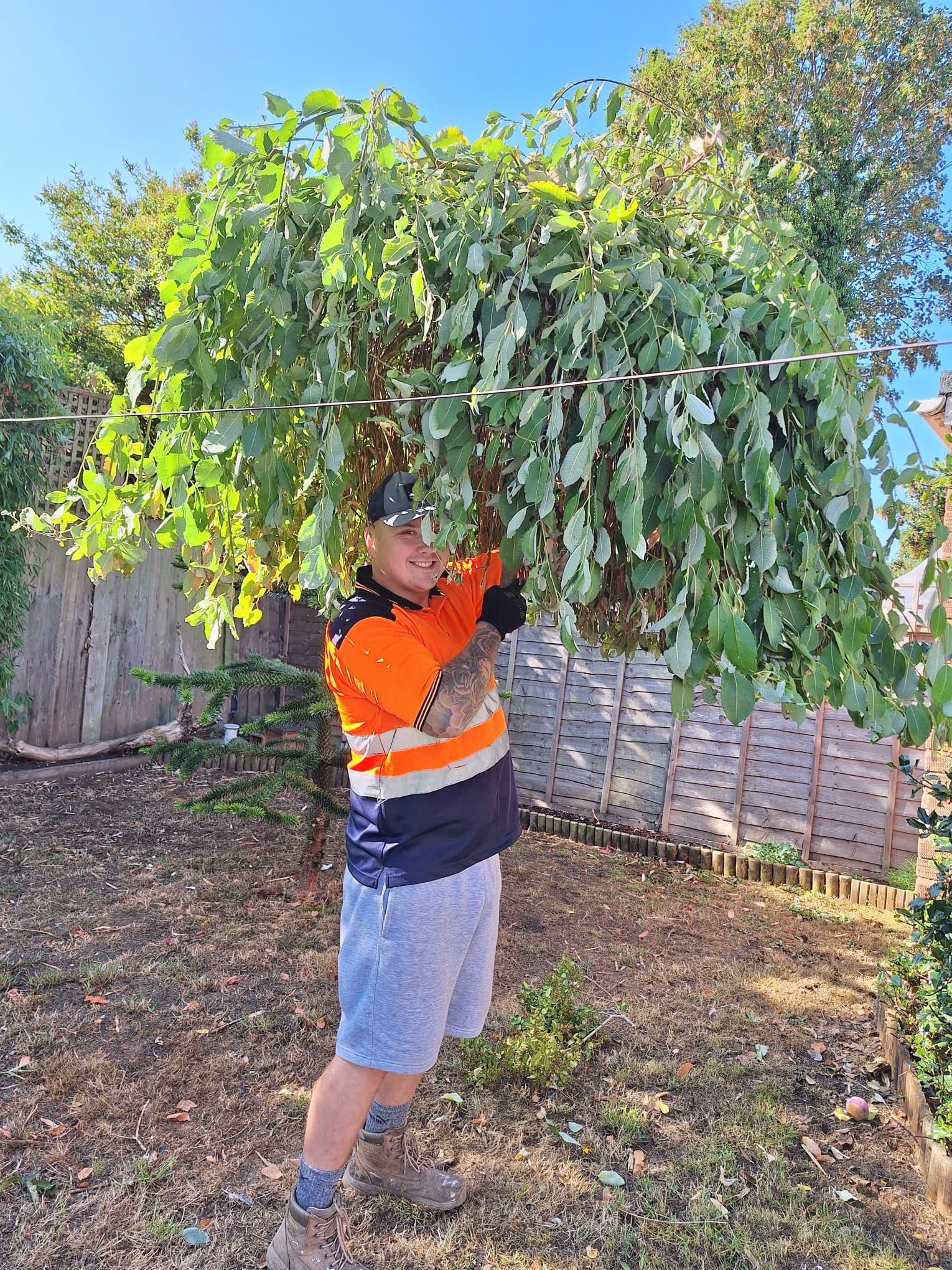 Garden tree trimming and green-waste removal service